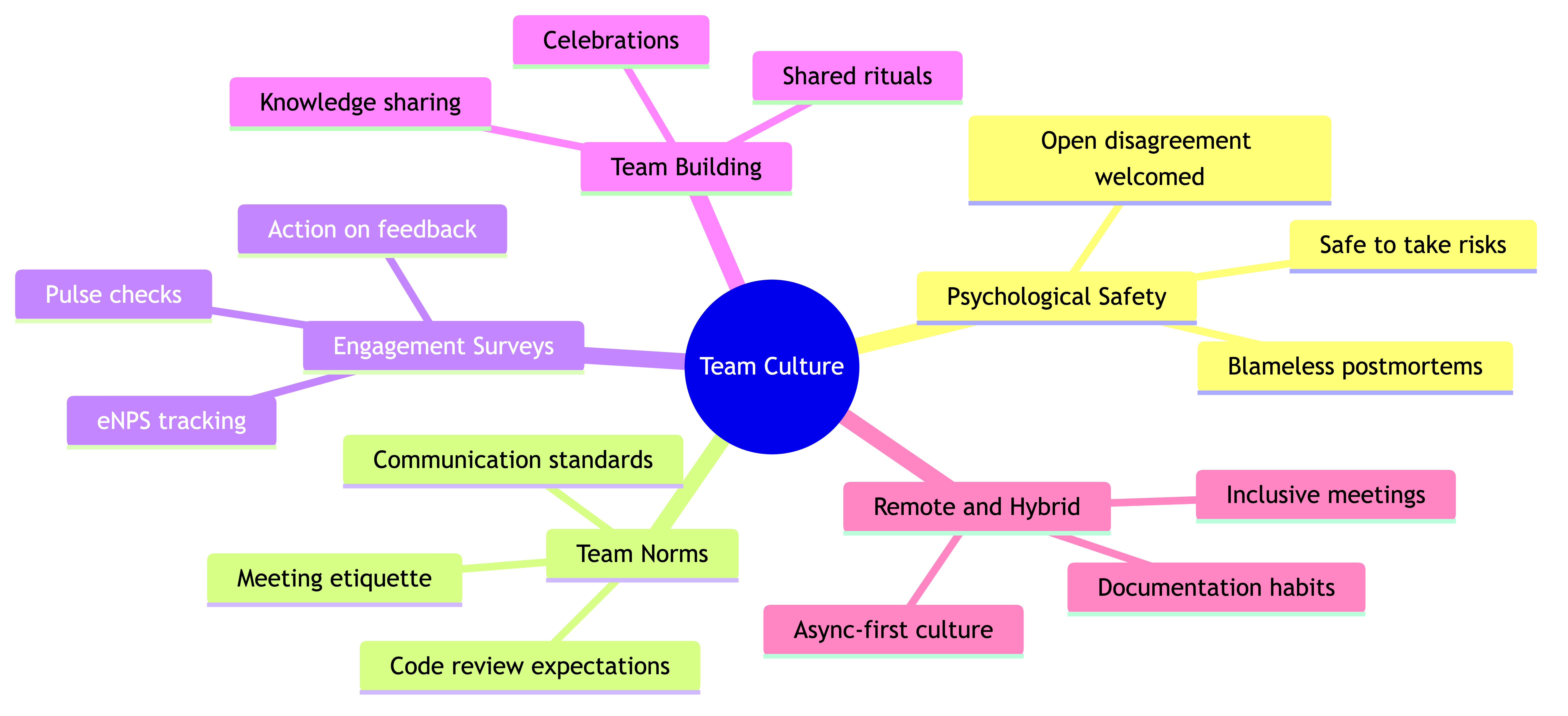 Team Culture & Engagement