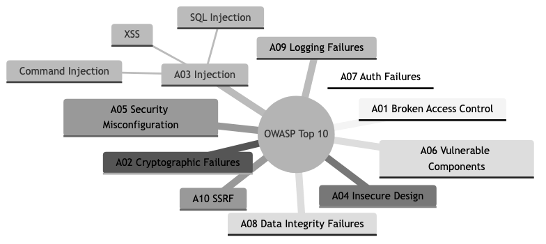 OWASP Top 10